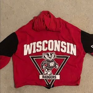 Pink, wisconsin badgers cropped hoodie